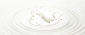 2011年1-11月我国液体乳产量情况分析