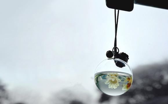 挂式干花玻璃球文艺车载香水