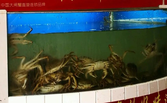 苏蟹阁阳澄湖大闸蟹专卖