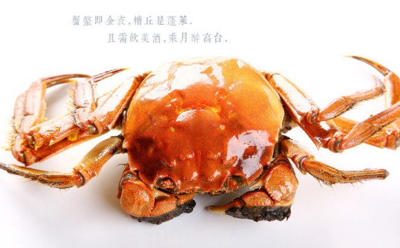 蟹庄缘阳澄湖大闸蟹