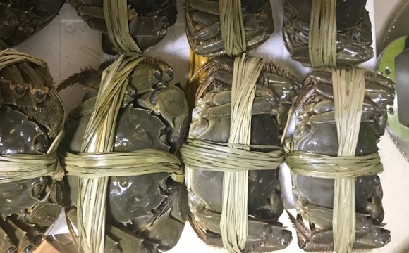 盛潮行大闸蟹