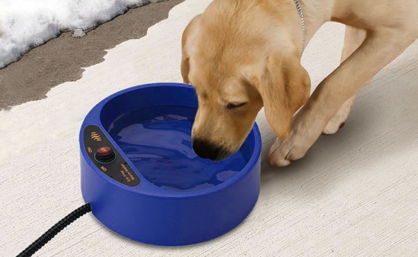 宠物恒温加热水碗