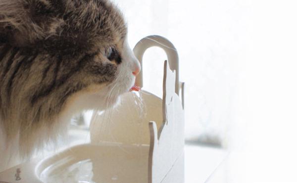 多格漫CattyMan 猫用流水净化饮水机