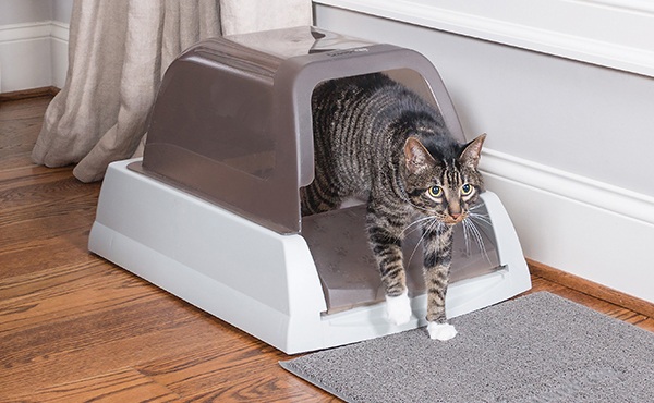 贝适安PetSafe 感应式封闭式全自动猫厕所