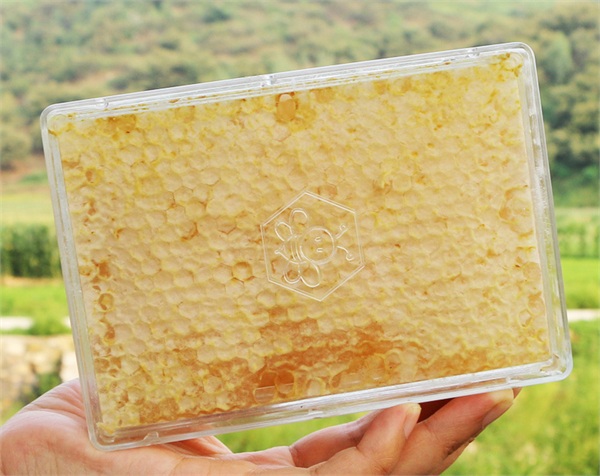益尔原生态养蜂场 盒装纯正蜂蜜巢