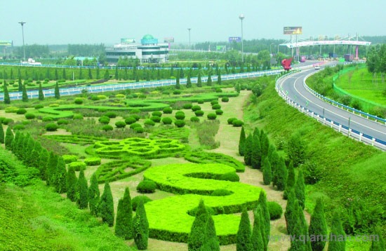 高速公路绿化