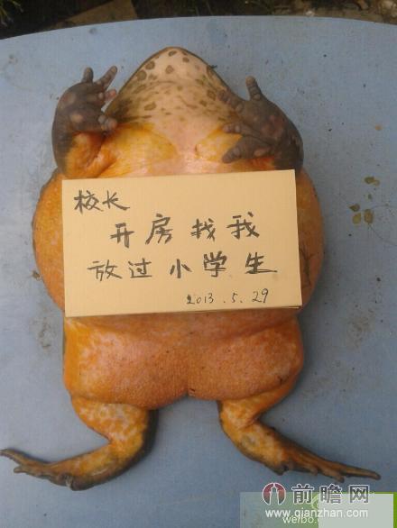 校长，开房找我图片
