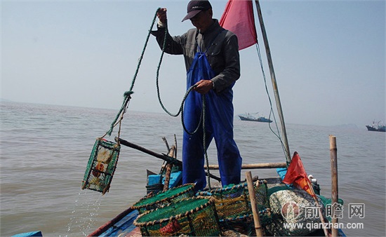 中国紧急叫停渔船赴朝鲜东海捕鱼的真实内幕