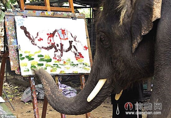 象界毕加索屌炸天 泰国大象用鼻子勾勒自画像惟妙惟肖