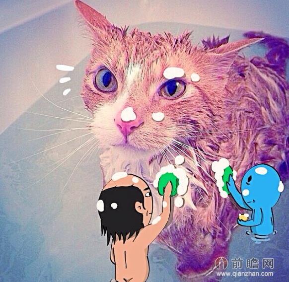 ȳͨͺ