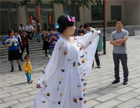 扎死蝴蝶装扮仙子图片