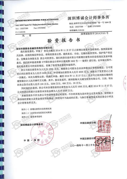 袋袋金验资报告书