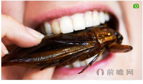 女服务员口吞馄饨里的小蟑螂张女士一家人目瞪口呆
