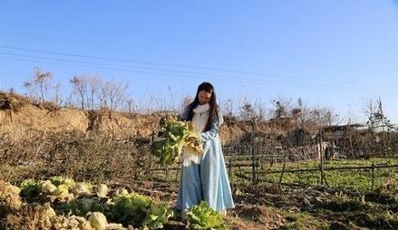 郑州80后女子刘娟月薪过万却要辞职郊区种地过田园生活