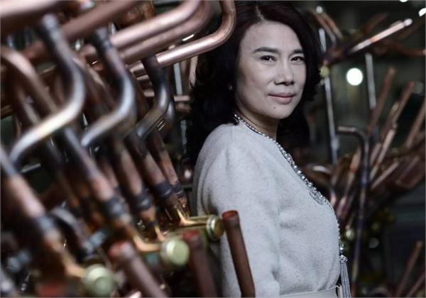 董明珠座驾是什么车_董明珠造的第一辆车_误造怎么造房子