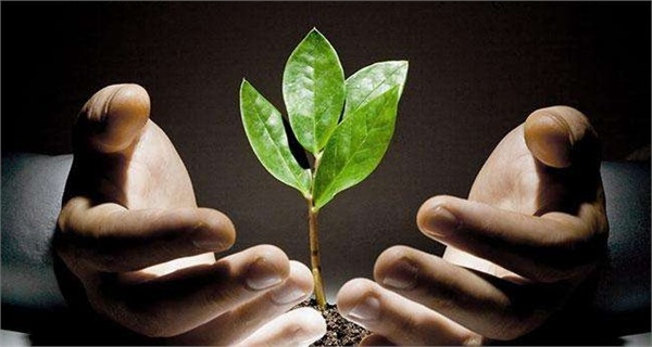 民众创业热情持续高涨 创投服务市场前景广阔