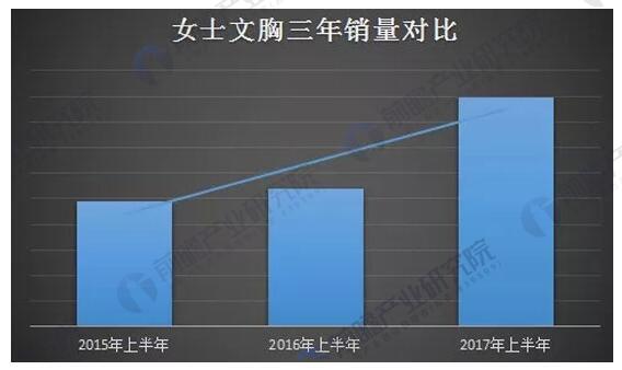 时尚中国内衣秀全透明_中国内衣行业分析(3)