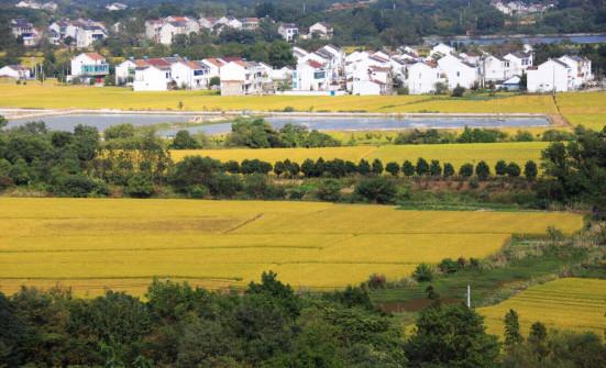 白塔村位于宜兴市西渚镇西部,紧临云湖景区,横山大觉寺的旧址就座落在