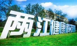 重庆两江健康科技城规划案例