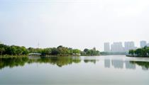 【鹽城市亭湖區】2022年度五星村田園綜合體800畝富硒9108水稻田施肥采購項目招標公告