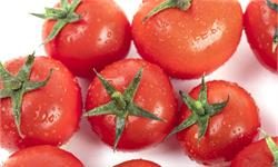 科学家通过基因编辑，培育出富含维生素D的“超级西红柿”