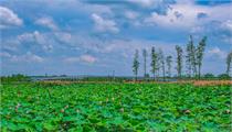 关于认定2022年广西农业科技园区的通知