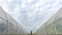 随县：《关于加快推进农业产业化高质量发展的若干意见》政策解读