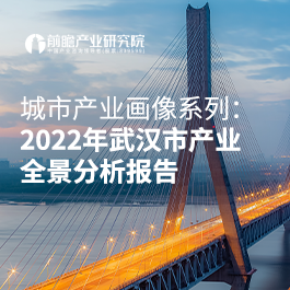 城市产业画像系列：2022年武汉市产业全景分析报告