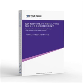 2024-2029年 中国磷化工产业市场前瞻与投资战略规划分析报告