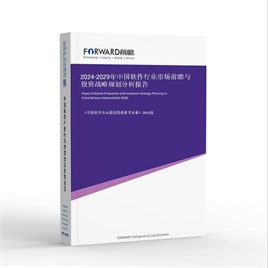 2024-2029年 中国软件行业市场前瞻与投资战略规划分析报告