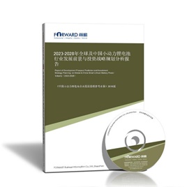 2024-2029年全球及中国小动力锂电池行业发展前景与投资战略规划分析报告