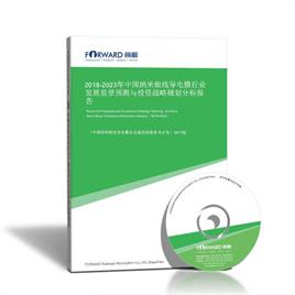 2024-2029年 中国纳米银线导电膜行业市场前瞻与投资战略规划分析报告