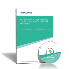 2024-2029年 中国质子交换膜燃料电池（PEMFC）行业市场前瞻与投资战略规划分析报告