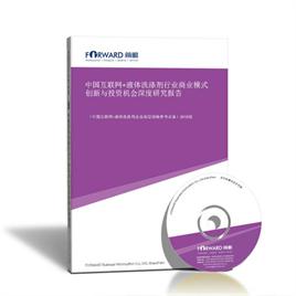 中国互联网＋液体洗涤剂行业商业模式创新与投资机会深度研究报告