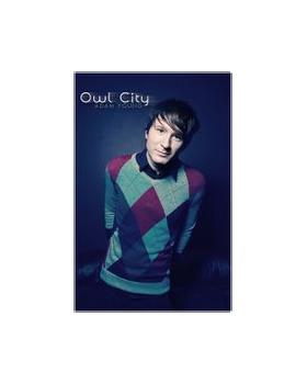 owl city