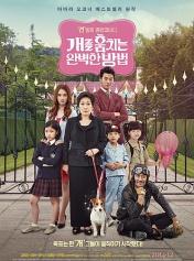 偷狗的完美方法