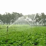 节水灌溉快速成长 行业兼并重组加剧