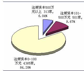 图表1：中国知识产权服务业企业规模格局（按企业注册资本统计）（单位：家，%）