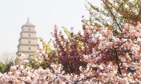 暑假孩子涨见识必备旅游线路 西安探寻古迹三日亲子游