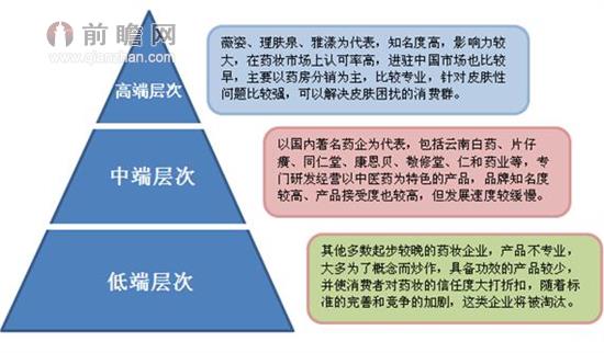 中国药妆市场竞争层次