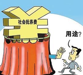 社会抚养费抚养计生部门的又一例证