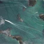 新西兰海岸惊现12米巨型神秘生物 海怪有时像蛇有时像鹿