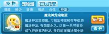 魔法神龙