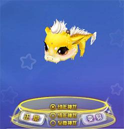 魔法神龙