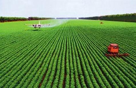 主食产业的品质是引领农业现代化的风向标