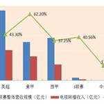 足协与体育总局脱钩 中国足球能自由飞翔了？