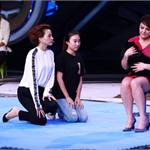 <em>董</em><em>卿</em>向狗下跪称被催眠批 撒贝宁摔倒被指侮辱智商