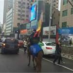 内蒙快递小哥扛大旗骑马送快递 双11快递真是太拼了