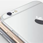 iPhone6诱惑太大！苹果代工厂员工两月偷走202部苹果6