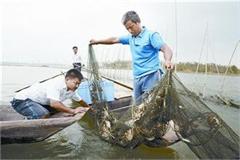 李军：养鱼亩产2500斤鳜鱼创养殖神话